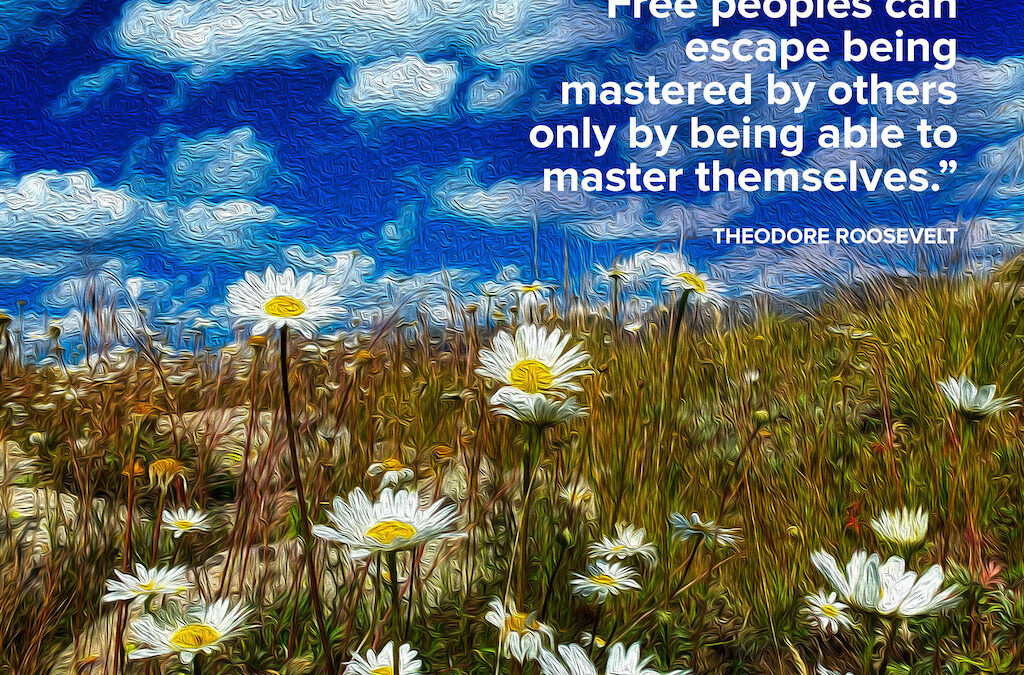 Life Coaching San Antonio Colorado Mountain Daisies Oil Final