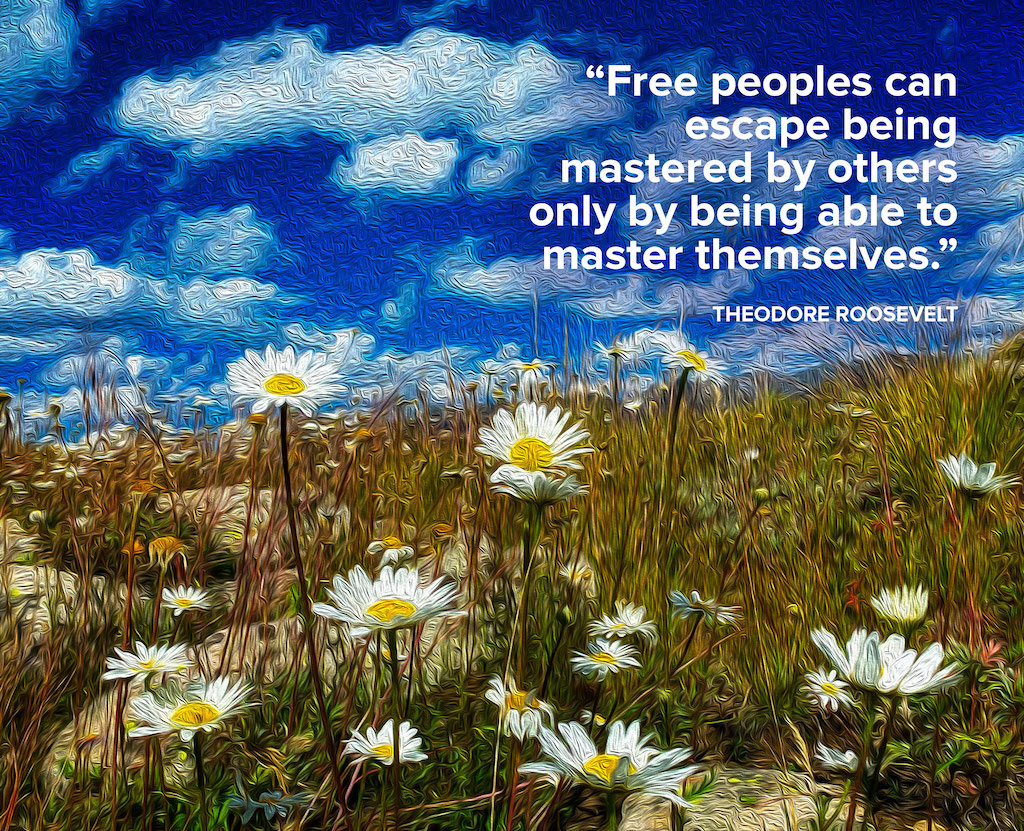 Life Coaching San Antonio Colorado Mountain Daisies Oil Final