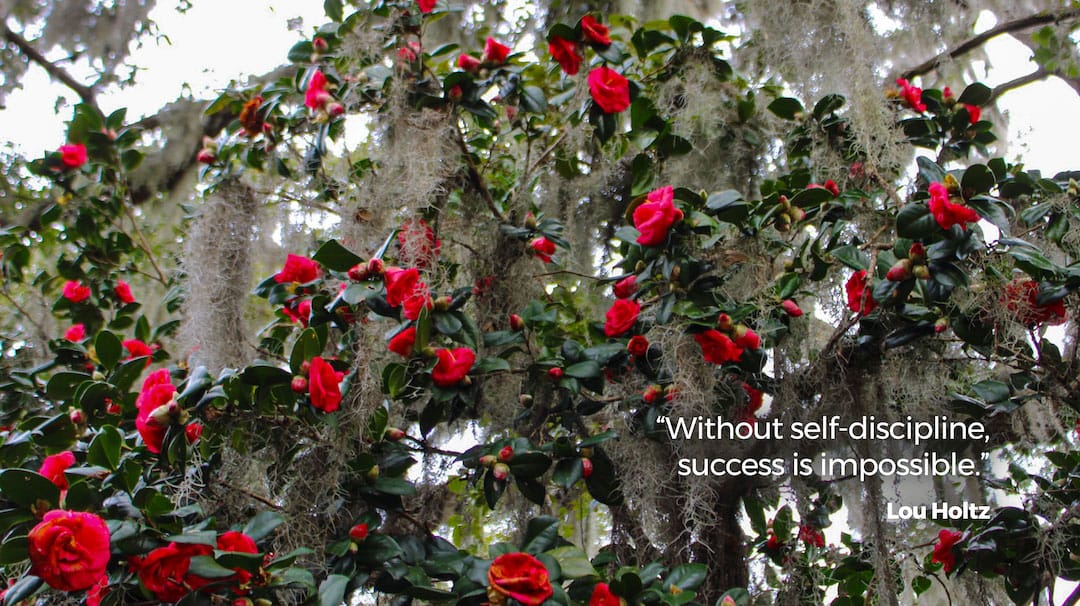 Life Coaching San Antonio April Week 3 2024 00007