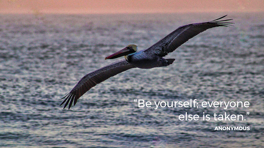 Life Coaching San Antonio Live On Purpose April Week 3 2024 000003