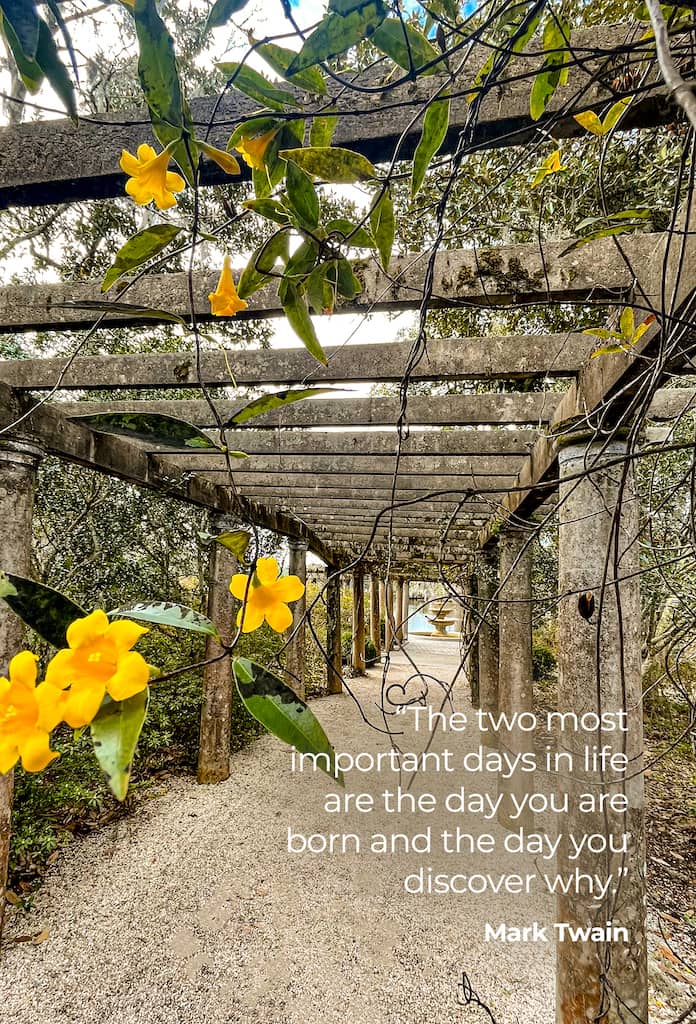 Life Coaching San Antonio Live On Purpose March Week 4 2024 0000002