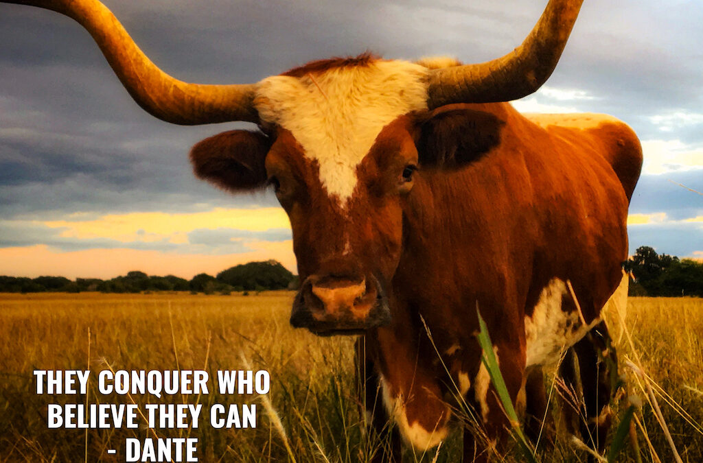 Life Coaching San Antonio Live On Purpose Week Of 5 27 2024 00005