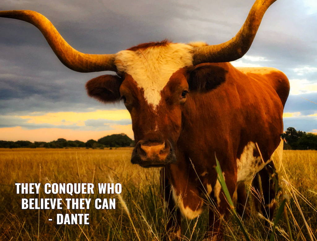 Life Coaching San Antonio Live On Purpose Week Of 5 27 2024 00005