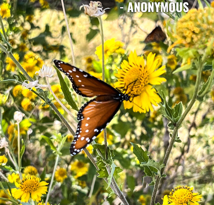 Life Coaching San Antonio Live On Purpose Week Of 5 27 2024 00007