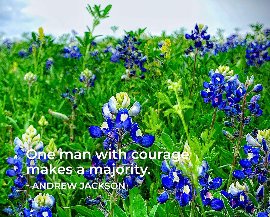 Life Coaching San Antonio Live On Purpose Week Of 7 8 2024 00001