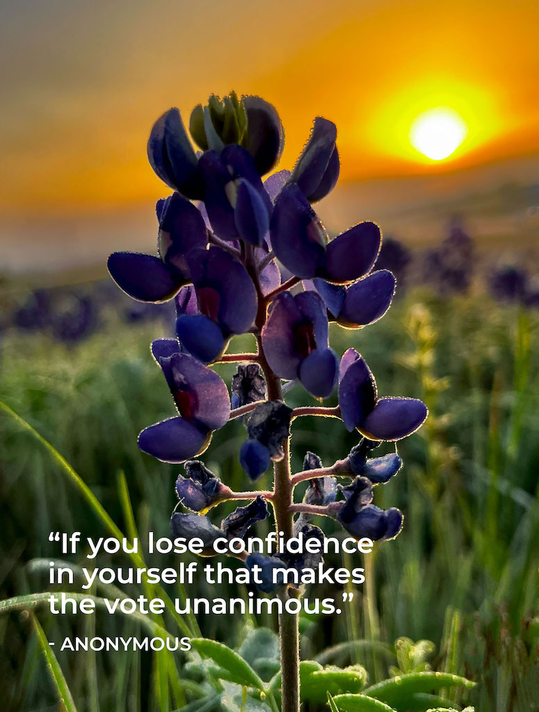 Life Coaching San Antonio Live On Purpose Week Of 7 8 2024 00002